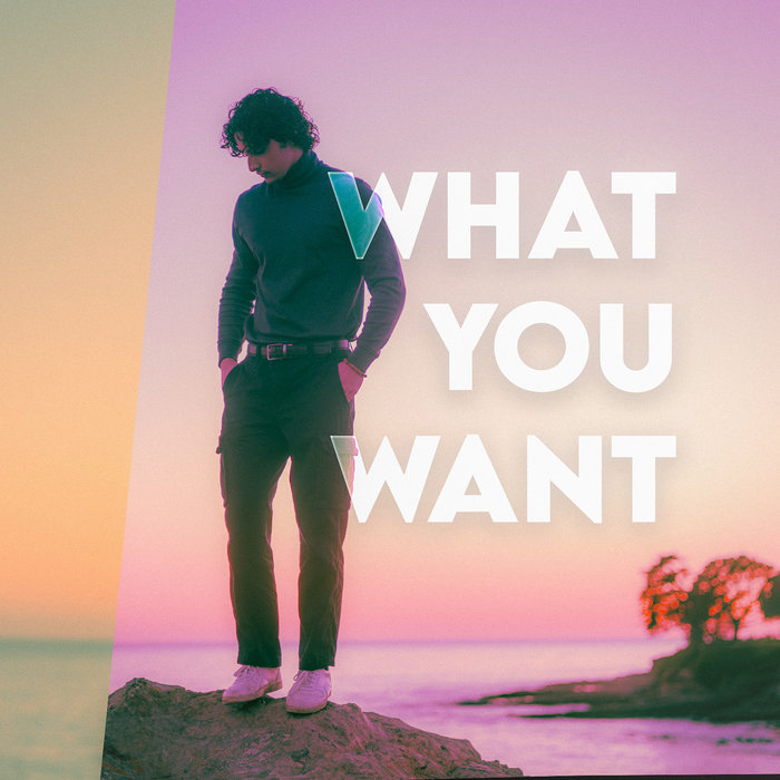 WHAT YOU WANT cover art